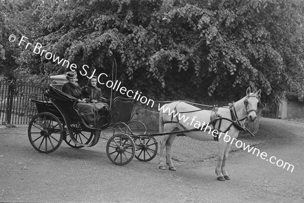 MRS FRANK LILLIS WITH MARY IN PHAETON